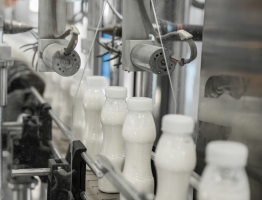 dairy